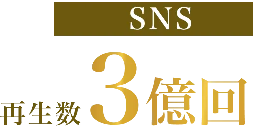 SNS再生数3億回
